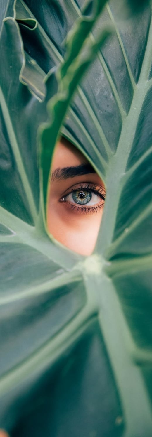 drew-dizzy-graham-cTKGZJTMJQU-unsplash (1)-2-1-1